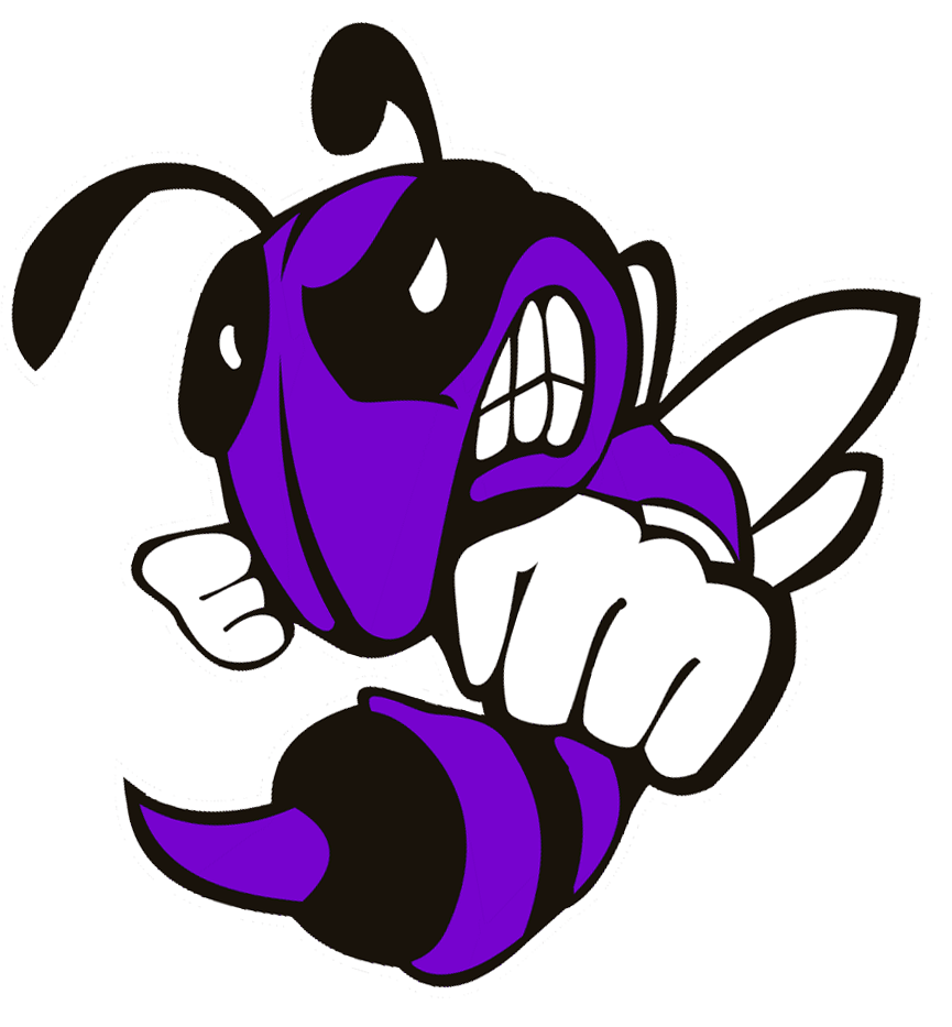 bee_new-box-elder.png